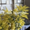 Calm Marche　4/12(日)に出店します