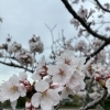 「できない」を見せるのは怖い。でも、隠し通すのはもっとしんどい。