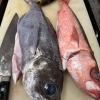釣り職人便！