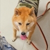今日のお友達