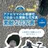 🚲🌸 KGリフォームプレゼンツ アフロママのお客様宅で出会った素敵な花写真