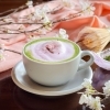【さくら抹茶ラテ】