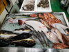 令和8年4月10日 店内「📣本日のお魚情報🐟」