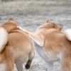 【最近あったちょっとうれしいこと】面白い＆励まされる編