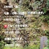 🏝️ヤシの木接骨院の直近の空き枠🏝️