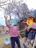 「家族で毎年恒例の『ラクテンチ　桜まつり🌸』に行ってきました！」