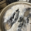 今が旬！！朝とれの筍