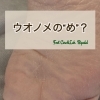 ウオノメの“め”