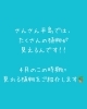 緑あふれる癒やしの空間をご提供「さんさん平島で楽しめる、4月の「庭のいきものたち」のご紹介」
