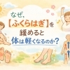 なぜ、【ふくらはぎ】を緩めると体は軽くなるのか？