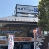 初夏の陽気に、打ち立て武蔵野うどんランチはいかがですか