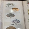 中国切手の買取なら横浜市南区の買取専門店・おたからや弘明寺駅前店