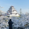 早朝の鶴ヶ城と桜　石垣から眺める春の天守閣