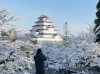 会津若松城（鶴ヶ城）朝６時「早朝の鶴ヶ城と桜　石垣から眺める春の天守閣」