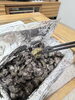 炭火で豪快に焼き上げた地鶏炭火焼「春の週末は炭火焼みっちゃんで晩酌おつまみをテイクアウト」