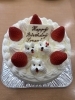 HAPPY BIRTHDAY SORARI「わんちゃんデコがかわいい♪ 生クリーム5号バースデーケーキ」