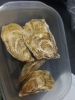 牡蠣「小長井牡蠣　華漣」