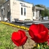 土地、建売をお探しの方は常磐の杜へ