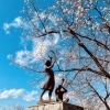 桜が咲き始めました