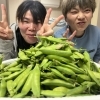 🌸春野菜の収穫🌸