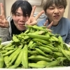 🌸春野菜の収穫🌸