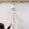 施術の組み立てができる人とできない人の違い