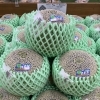 オトメメロン入荷してます【鉾田市直売所】