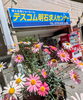 テスコム明石求人センター 明石市大明石町1-9-22「【テスコム明石求人センター】春の転職・仕事探し 明石市大明石町」