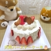 愛犬のお誕生日に♪ 犬用バースデーケーキのご案内