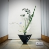 山形屋の花🤍