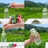 手軽に作れる水出し本格日本茶.