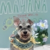 お客様のご紹介🐶［大分市高崎／貸切 トリミング］