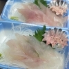 今日のおすすめはカワハギの刺身です😁 醤油かポン酢に肝を入れて食べたら最高ですね✨️✨️