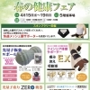 春の健康フェア開催🍀︎✨