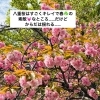 季節の変わり目に「ゆるめて流す」楽のデトックスケア