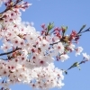 入園式🌸