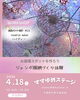 珍しい ジャンボ膜網づくり体験「市原市　馬立　親子で楽しめるイベント　if一周年記念」
