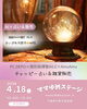 AI占い&雑貨販売イベント「市原市　馬立　子連れで楽しめるイベント　出店メンバー#14」