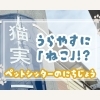 【シッター日誌】浦安市に「猫」？江戸川区のお隣で見つけた珍地名