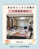 子供たちが楽しく学ぶ英会話「小学低学年PFクラス・本日のレッスンの様子をご紹介します📚」