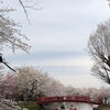 須坂の臥龍公園