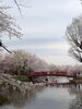 須坂臥龍公園「須坂の臥龍公園」
