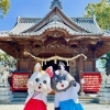 福島八幡宮新キャラクターブラックシロちゃん誕生🐶夢は宮司さん⁉意外な素顔を公開✨