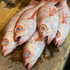 ノドグロ「魚沼市の和食料理店　旬食や　香秀(かしゅう)です　ご希望の料理はご予約にて賜ります！！」