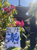 「【令和8年5月限定】金蔵寺の特別御朱印「瀧」—初夏の訪れを彩る青色の一体」
