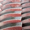 📣 15日 11:00〜 本鮪 即売会‼️🐟