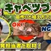 プロが教える! キャベツ栽培における基礎知識と品種選定のポイントを解説してみました。　たねのハシモトミヤ