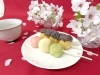 花より団子！？笑顔満開のお花見レク🌸「花より団子！？笑顔満開のお花見レクを開催しました🌸🍡」