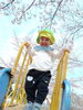 「春のおさんぽ日和｜公園で見つけたつくしと桜の景色 」