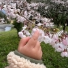 🌳新しい1年の始まり🌳
